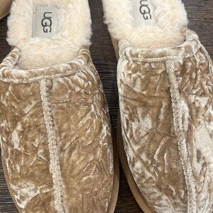 UGG Crushed Velvet Slippers in Tan